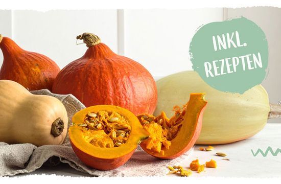 Teaser Kürbisse im Vergleich