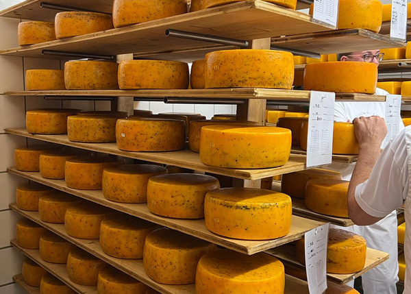 Käselaibe Hof Jithof