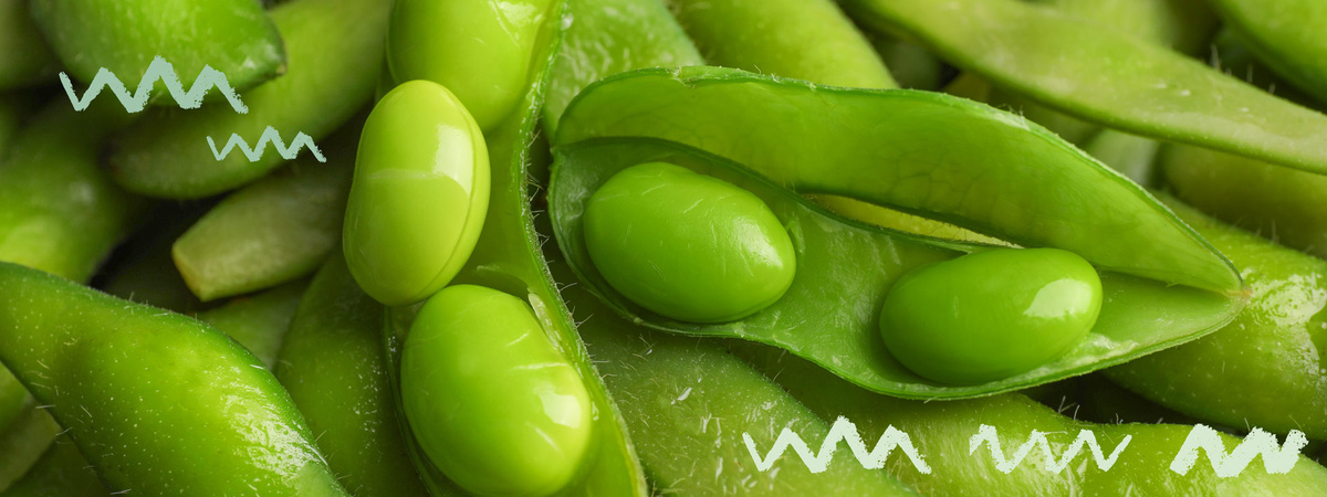 Edamame Bohnen und Schoten