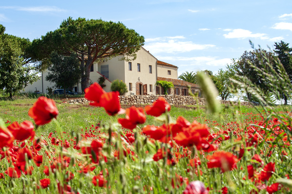 LaSelva_BioLandgut_RegionMaremma_Suedtoskana