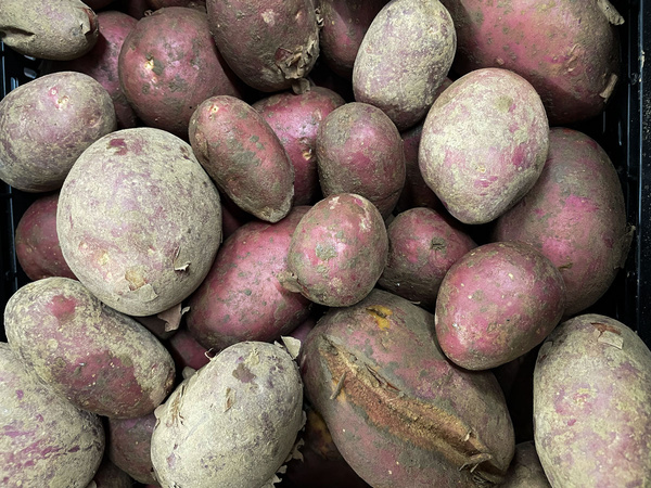 Kartoffeln klein und Schalenfehler