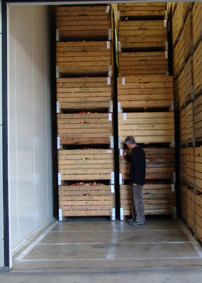 Kühlkammern Augustin