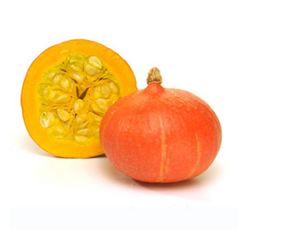 Produktfoto zu Kürbis Hokkaido, mini, ca. 300 - 700g
