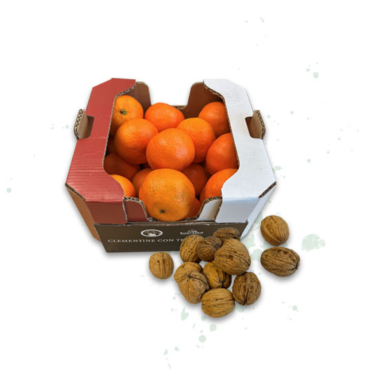 Adventskalender Tür 16: Mandarinen und Walnüsse