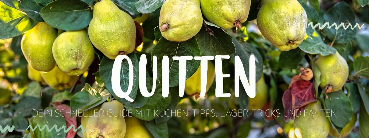 KI generiert: Quitten an einem Baum. Text: "QUITTEN DEIN SCHNELLER GUIDE MIT KÜCHEN-TIPPS, LAGER-TRICKS UND FAKTEN"
