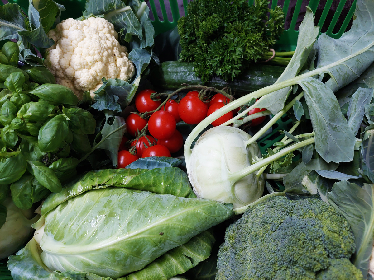KI generiert: Frisches Gemüse: Blumenkohl, Kohlrabi, Brokkoli, Tomaten, Basilikum und mehr in einer Kiste.