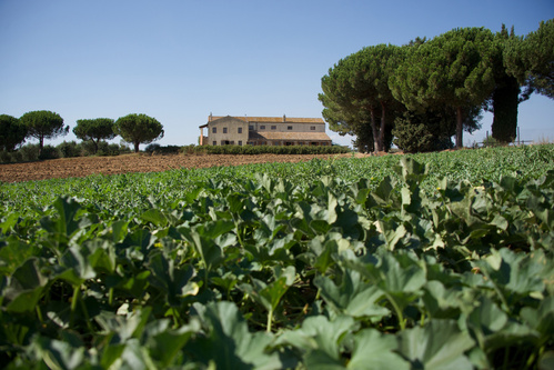 LaSelva Bio Landgut Toskana