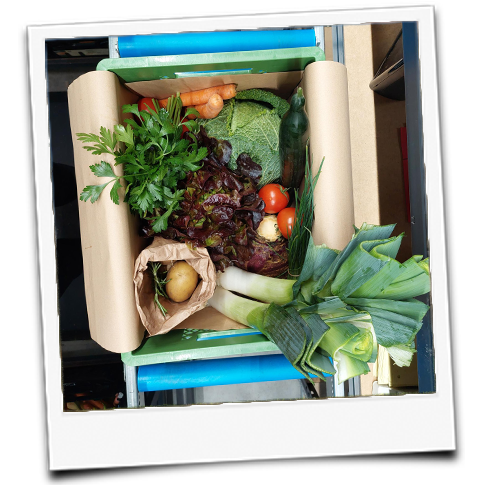 KI generiert: Eine Kiste mit frischem Gemüse: Lauch, Salat, Karotten, Tomaten und Kartoffeln.