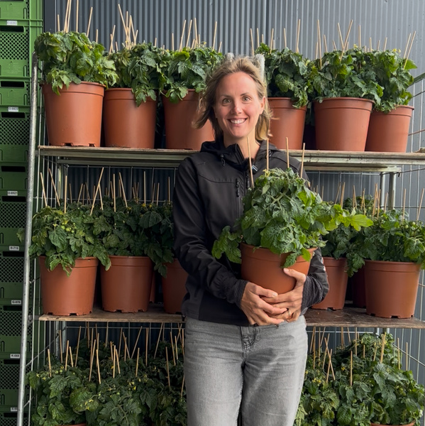 KI generiert: Frau hält einen großen Topf mit grünem Gemüse vor einem Regal voller Pflanzen.