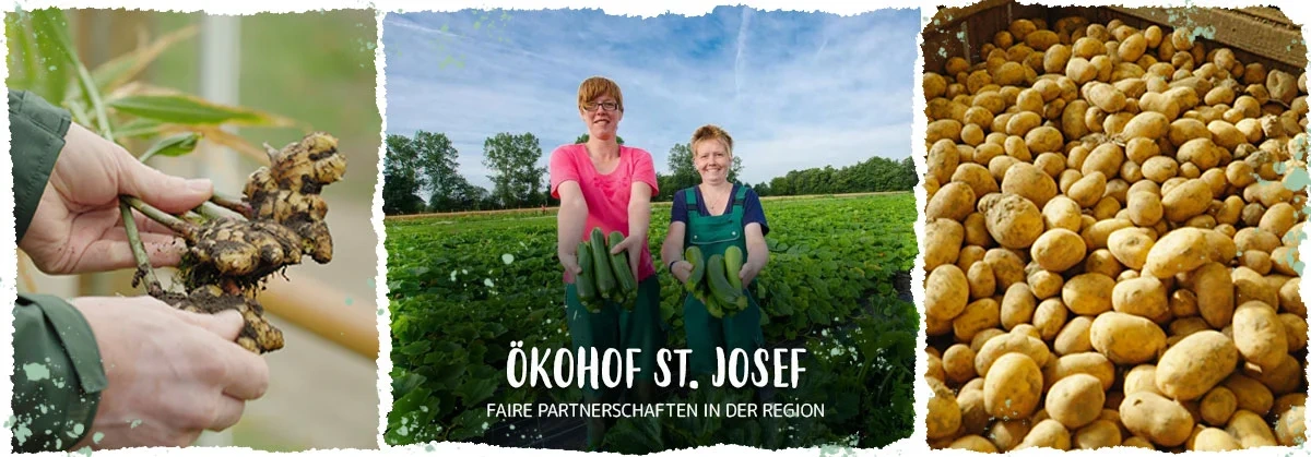 Header Sozialer Ökohof St. Josef