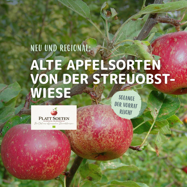 Rote Äpfel am Baum, Text: "Neu und regional: Alte Apfelsorten von der Streuobstwiese. Solange der Vorrat reicht."
