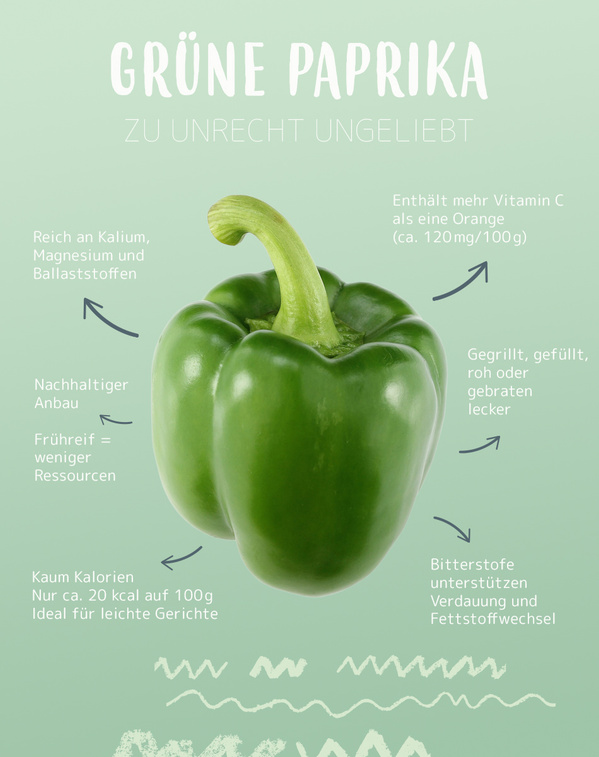 grüne Paprika