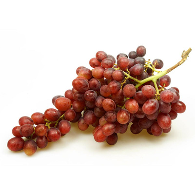 Produktfoto zu Trauben rot, Sorte Ruby Rush - kernlos