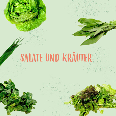 Produktfoto zu Zu den Salaten
