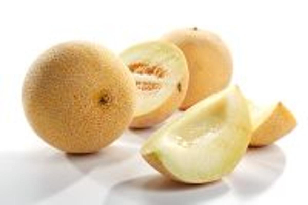 Produktfoto zu Honigmelone Galia, ca. 800g