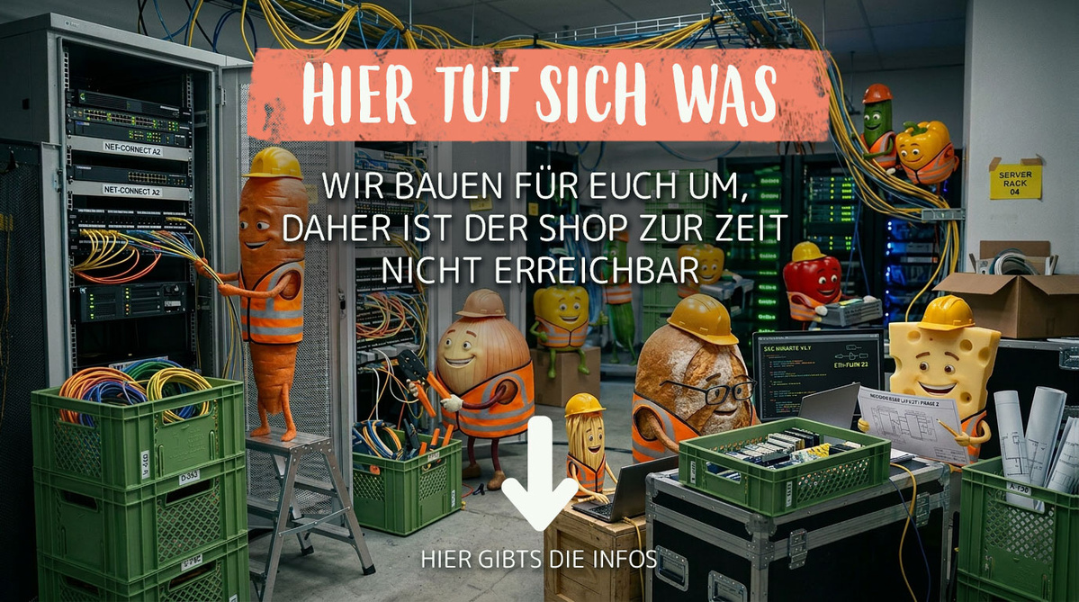 KI generiert: Charmante Cartoon-Charaktere renovieren Serverraum. Text: "Hier tut sich was... Shop nicht erreichbar. Infos unten."