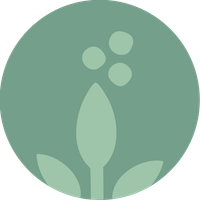 KI generiert: Grünes, stilisiertes Pflanzenlogo auf grünem Hintergrund, bestehend aus Blättern und drei runden Blüten.