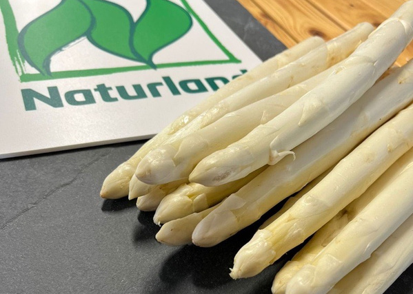 KI generiert: Das Bild zeigt den Schriftzug "VEGANUARY" auf einem grünen Hintergrund, umgeben von verschiedenen Gemüsesorten wie Pilzen, Blättern, Kartoffeln, Fenchel und Radieschen. Der Hauptinhalt des Bildes ist die Promotion einer veganen Ernährung im Januar.