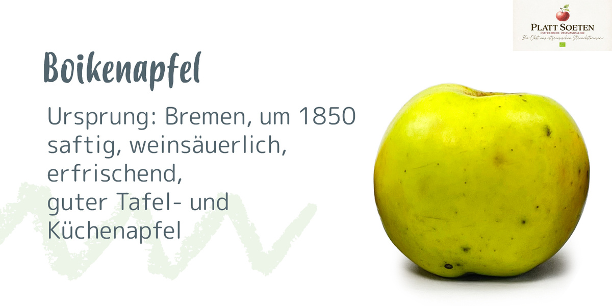 Das Bild zeigt einen gelben Apfel neben einer Beschreibung: "Boikenapfel, Ursprung: Bremen, um 1850."