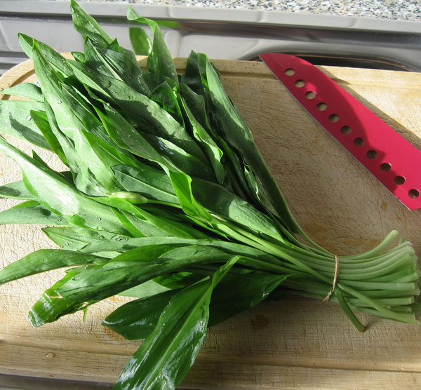 KI generiert: Ein Bund Bärlauch auf einem Schneidebrett, daneben ein rotes Messer.