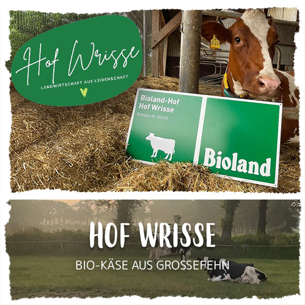 KI generiert: Ein Hofschild mit einer Kuh und der Text: "Hof Wrisse", "Bioland", "BIO-KÄSE AUS GROSSEFEHN".