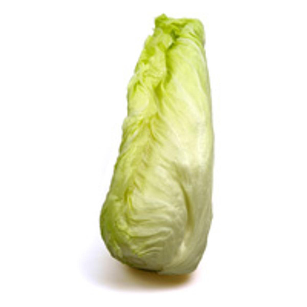 Produktfoto zu Zuckerhutsalat, über 1kg