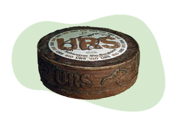 Urs 55%F Splügener Bergkäse