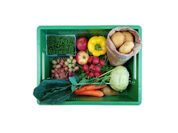 Produktfoto zu Seniorenkiste