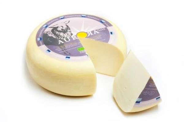 Produktfoto zu Aurora Gold - Schaf Gouda - 50% Fett i. Tr.