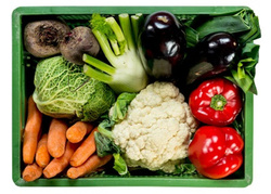 Produktfoto zu Querbeet maxi