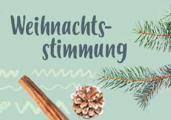 KI generiert: Tannenzweig, Zimtstange und Zapfen mit dem Text "Weihnachtsstimmung".