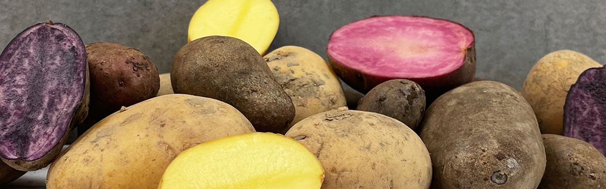 Bunte Gourmetkartoffeln