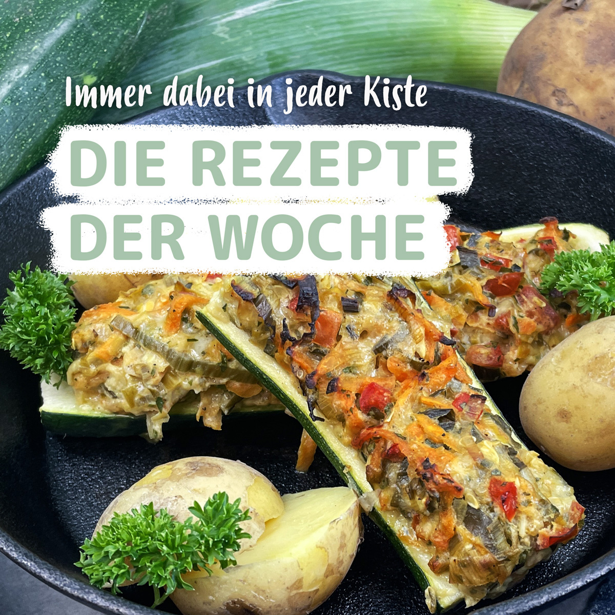  Jede Woche neue Rezepte. Immer dabei in jeder Kiste.