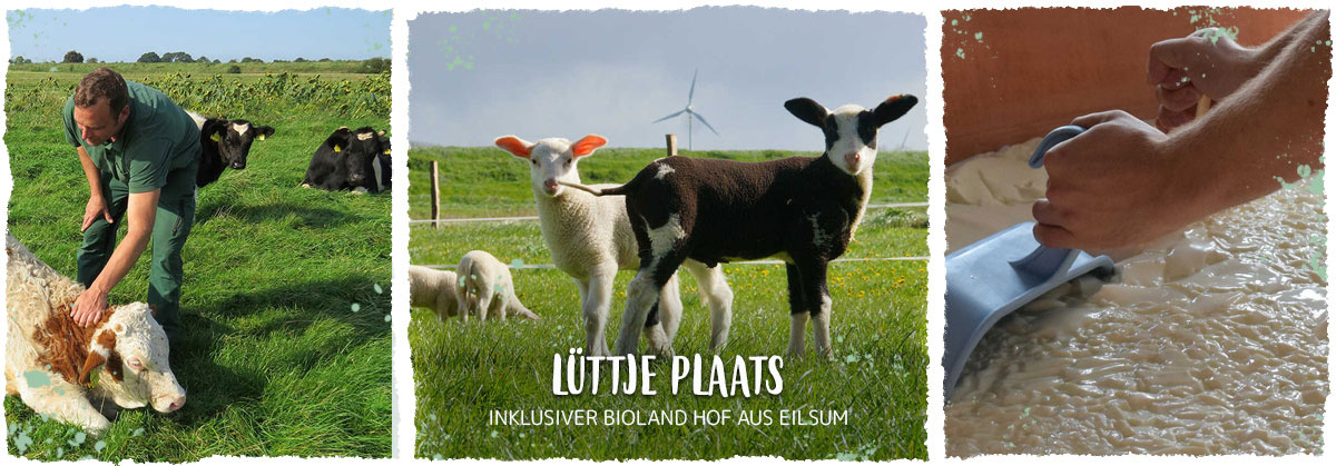 Lüttje Plaats