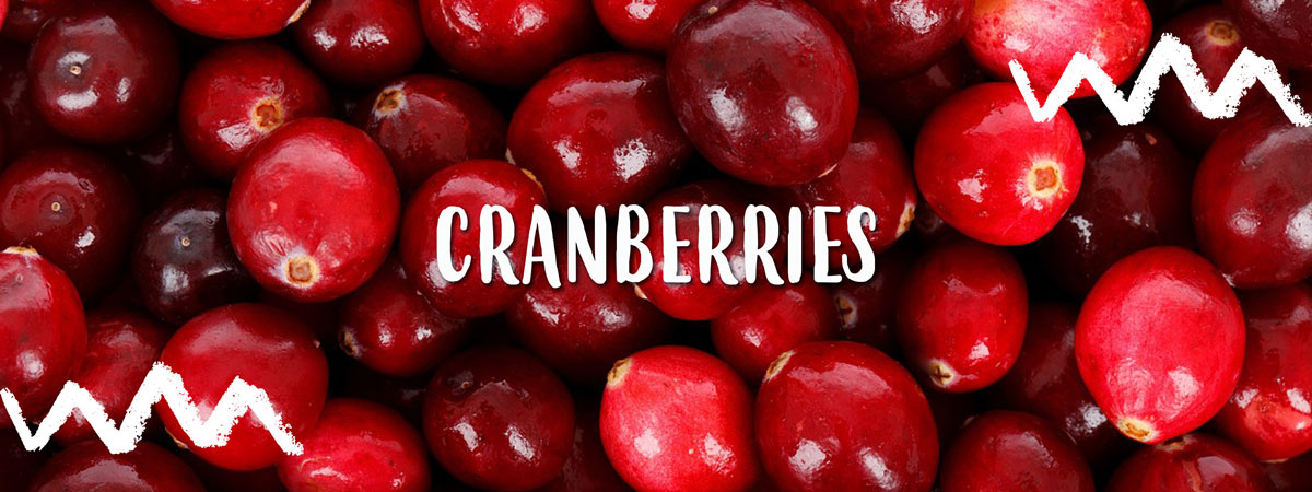 Header frische Cranberries
