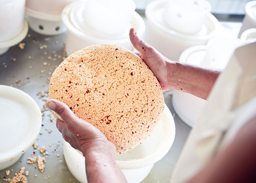 Herstellung Käse Hof Butendiek