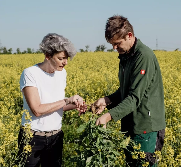 KI generiert: Zwei Personen inspizieren Pflanzen in einem blühenden Feld unter freiem Himmel.