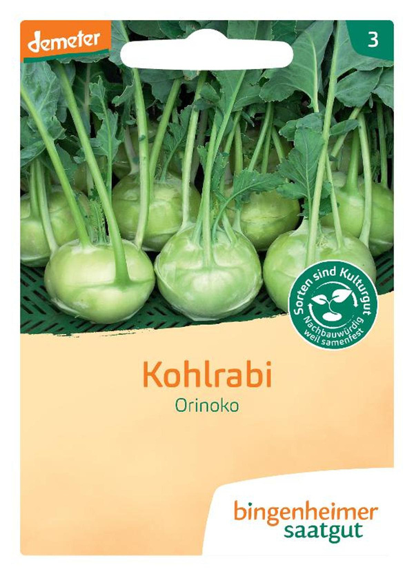 Produktfoto zu Bingenheimer Saatgut - Kohlrabi weiß