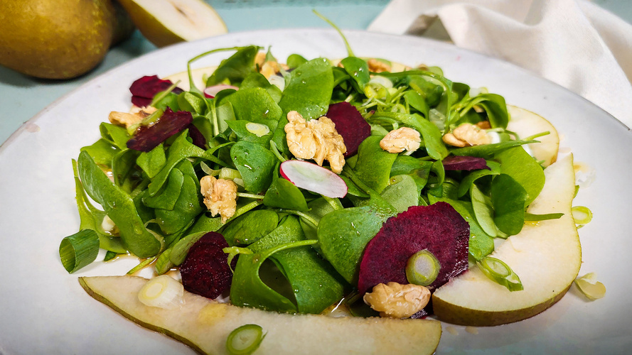 Rezeptbild für 306. Wilder Wintersalat mit Postelein