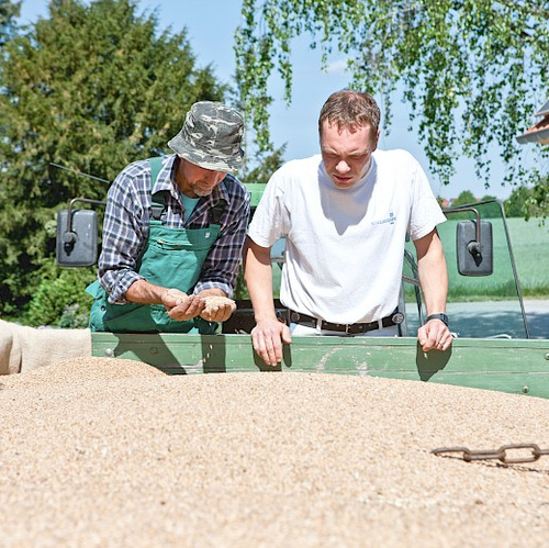 Spielberge Mühle Korninspektion