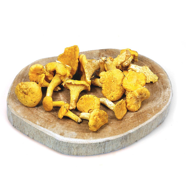 Produktfoto zu Pfifferlinge, Wildsammlung