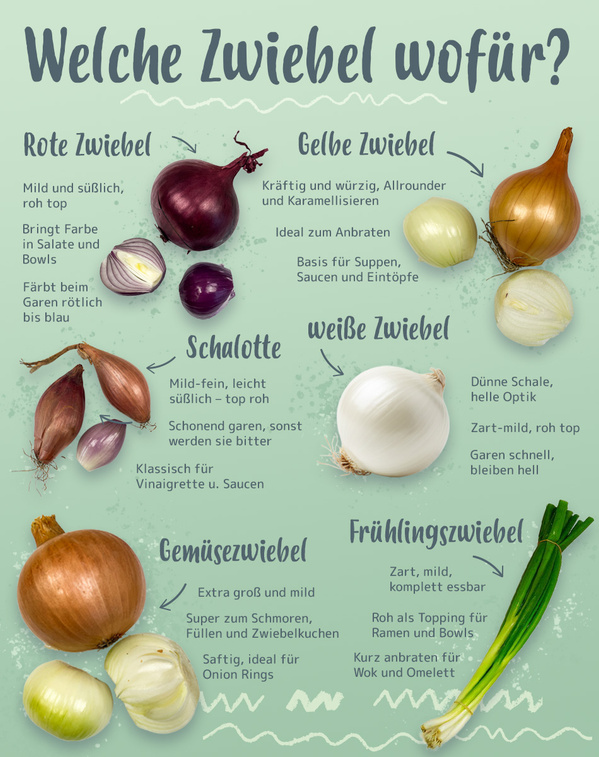 KI generiert: Welche Zwiebelsorten wofür: rote, gelbe, Schalotte, weiße, Gemüse- und Frühlingszwiebeln.