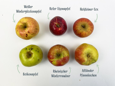 Produktfoto zu Alte Sorten – Winteräpfel, ca. 1 kg