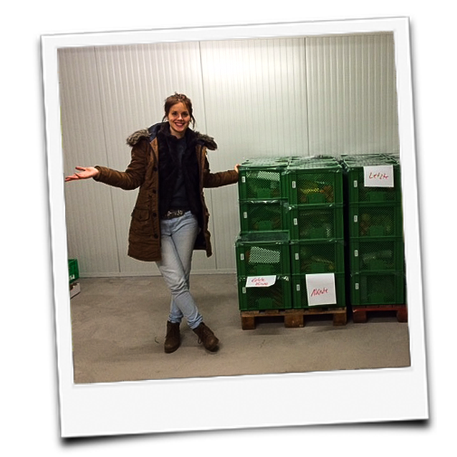 KI generiert: Eine Person steht neben gestapelten, grünen Kisten mit den Beschriftungen "Kisten" und "Abok".