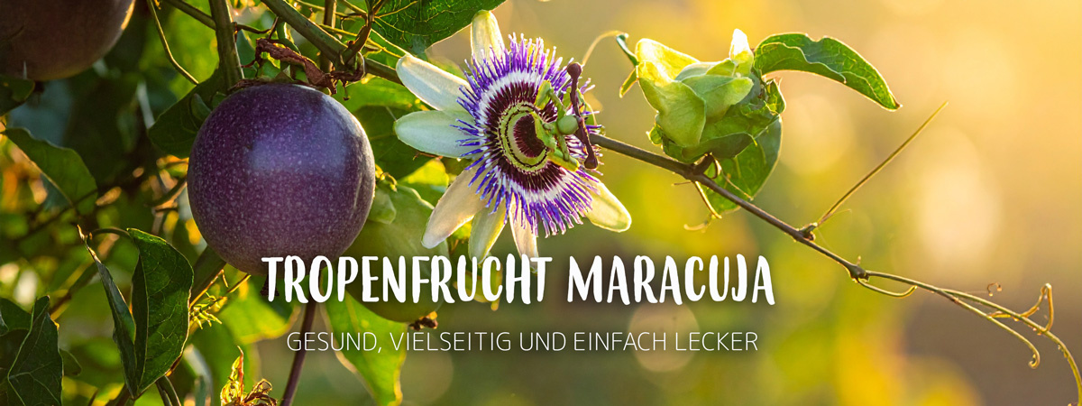 KI generiert: Maracuja an Pflanze. Text: "Tropenfrucht Maracuja - Gesund, vielseitig und einfach lecker".