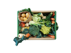 Produktfoto zu Regio-Kiste midi