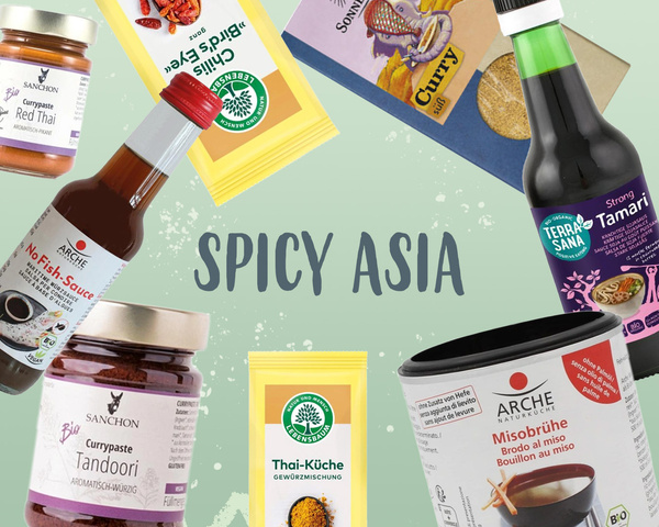 KI generiert: Diverse asiatische Gewürze und Saucen auf grünem Hintergrund. Text: "SPICY ASIA".