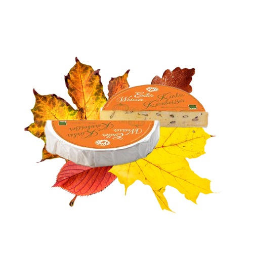 Edler Weißer Brie Kürbis-Kernbeißer