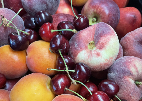 Nori Algen in schale