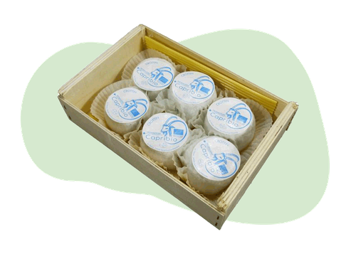 Crottin affine Ziegenkäse